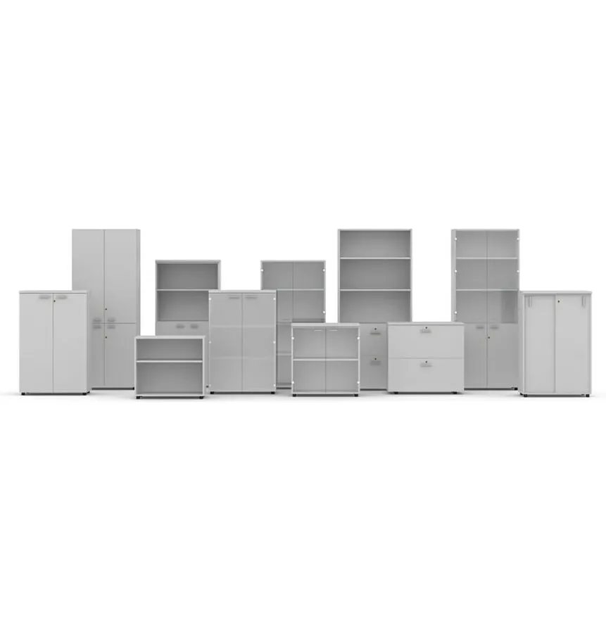 Basic Shelves & Cabinets Storage
