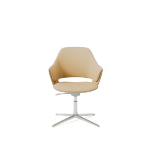 VEDA Conference Chair